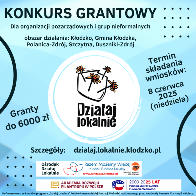 Działaj Lokalnie 2025